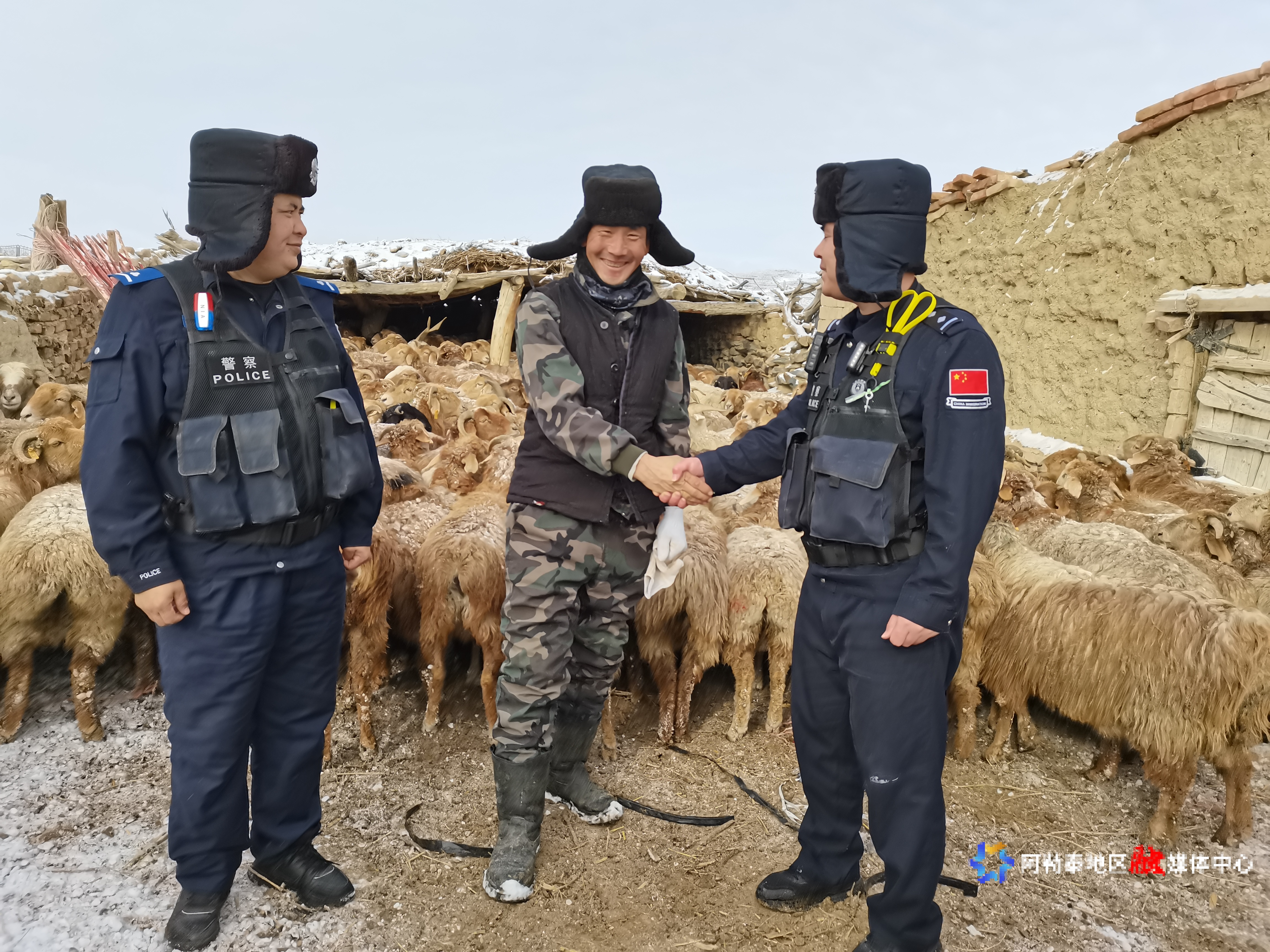 mmexport1763279950109